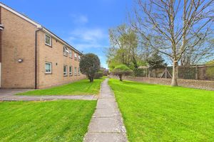 Communal grounds- click for photo gallery